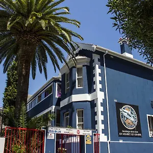 Big Blue Backpackers Le Cap